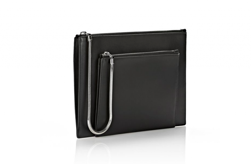 figtny.com | Alexander Wang Chastity Double Flat Pouch