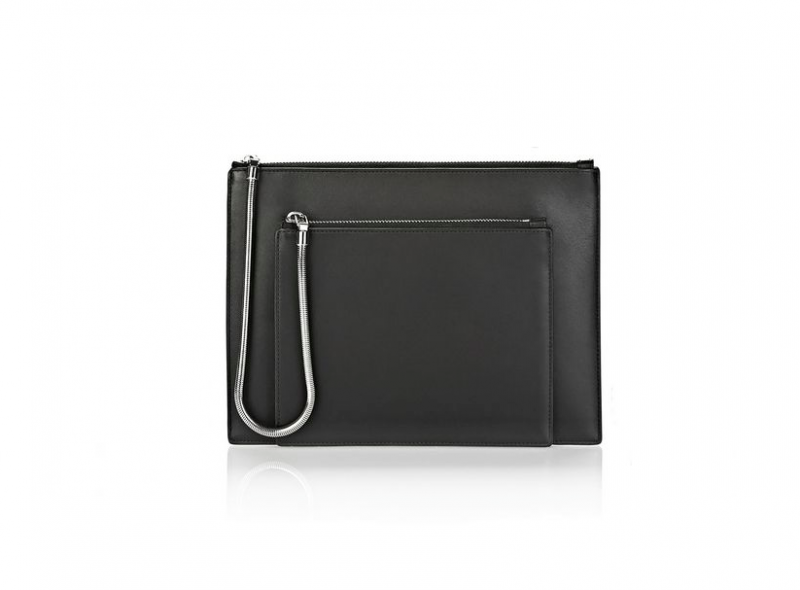 figtny.com | Alexander Wang Chastity Double Flat Pouch